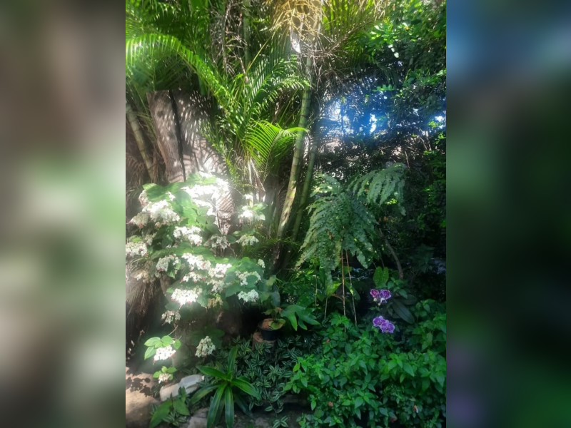 Casa à venda Inconfidência com 640m² e 3 quartos por R$ 420.000 - 18.jpg