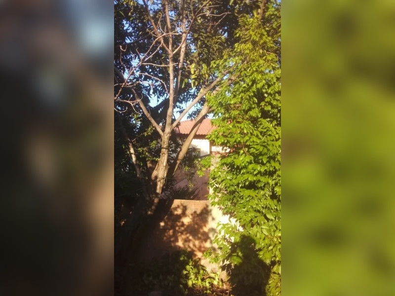 Casa à venda Inconfidência com 640m² e 3 quartos por R$ 420.000 - 7.jpg