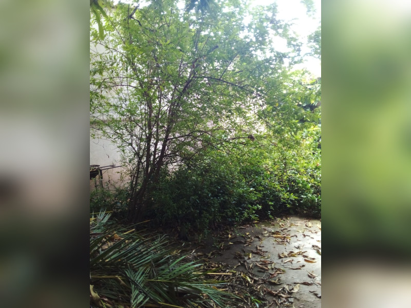 Casa à venda Inconfidência com 640m² e 3 quartos por R$ 420.000 - whatsapp-image-2024-12-05-at-125107-1.jpeg