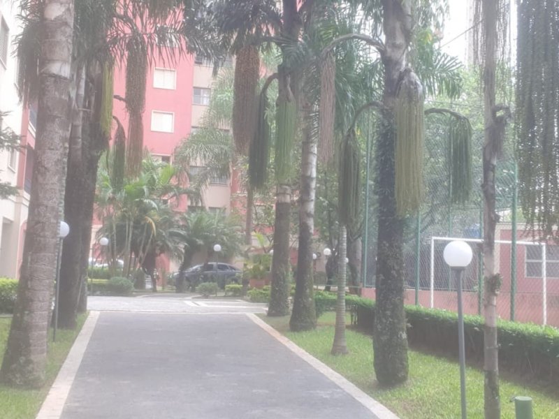 Apartamento à venda Lauzane Paulista com 62m² e 3 quartos por R$ 399.000 - 1846670489-whatsapp-image-2021-02-24-at-13.jpeg