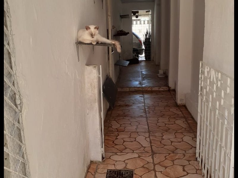 Casa à venda João Alves  com 135m² e 4 quartos por R$ 205.000 - 1104467904-img-20210922-wa0005.jpg
