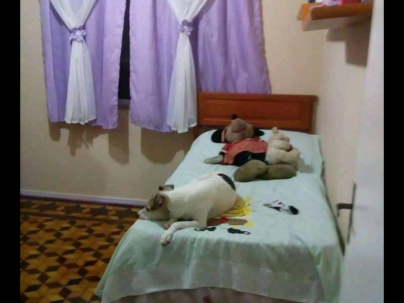 Apartamento à venda Higienópolis com 70m² e 2 quartos por R$ 260.000 - 1719762912-screenshot-20220617-171125.png