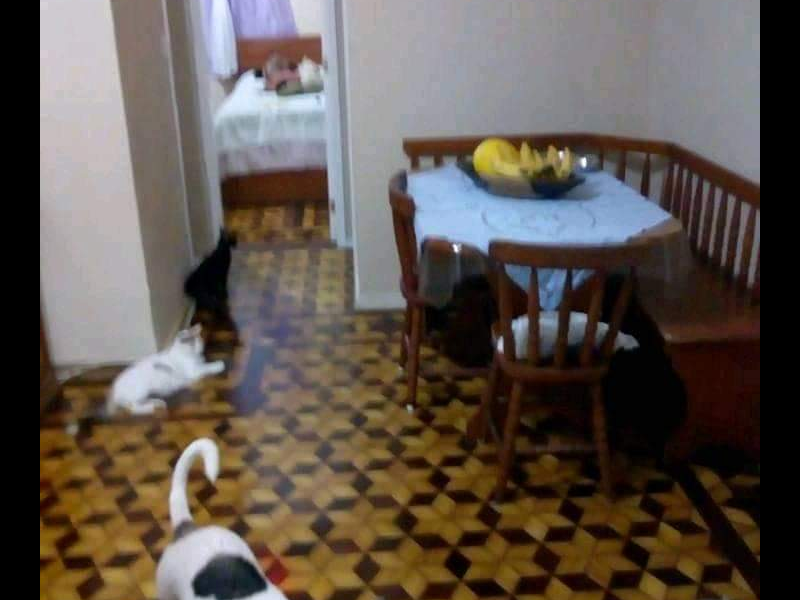 Apartamento à venda Higienópolis com 70m² e 2 quartos por R$ 260.000 - 1934294580-screenshot-20220617-171145.png
