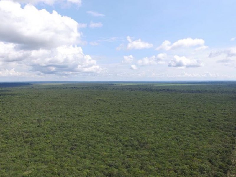 Fazenda à venda Centro com 14000m² e 1 quarto por R$ 1.000.000 - 1369689873-cian-img-3.jpeg