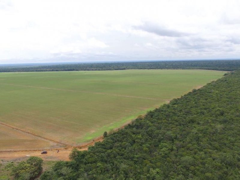 Fazenda à venda Centro com 14000m² e 1 quarto por R$ 1.000.000 - 446555280-cian-img-4.jpeg