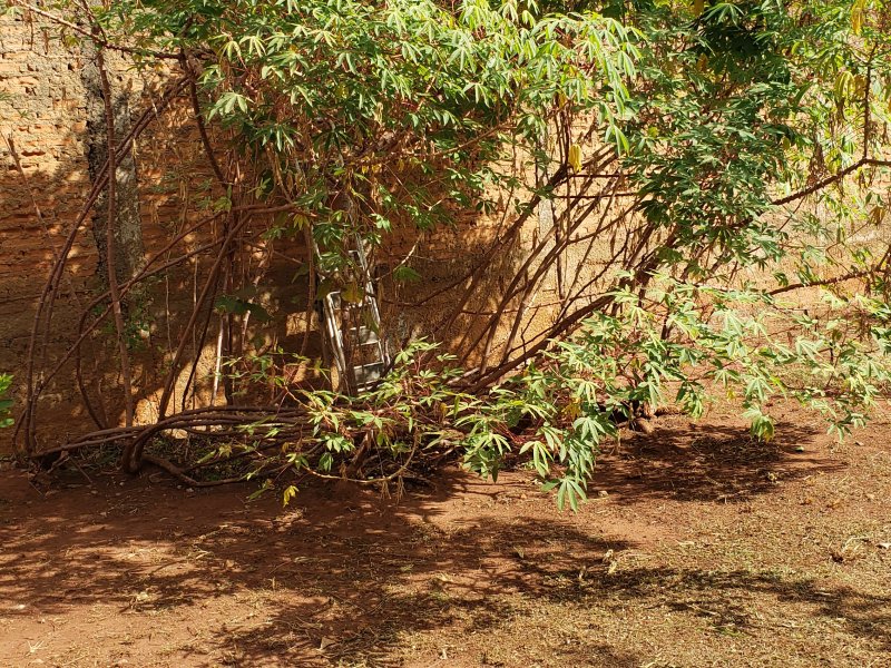 Casa à venda Centro com 850m² e 5 quartos por R$ 1.200.000 - 1478723402-20220509-100953.jpg