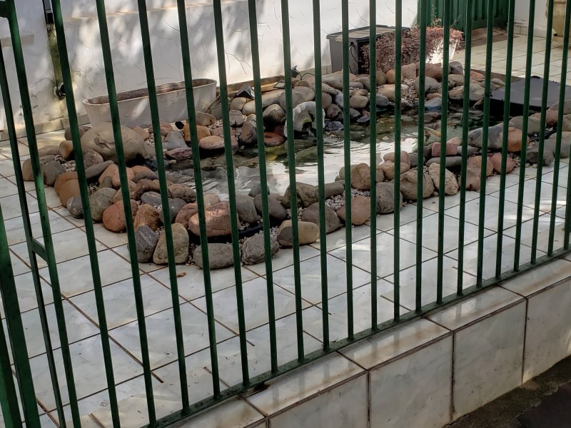 Casa à venda Centro com 850m² e 5 quartos por R$ 1.200.000 - 1664523351-20220509-101919.jpg