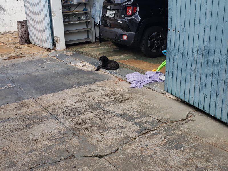 Casa à venda Centro com 850m² e 5 quartos por R$ 1.200.000 - 1731549806-20220509-100841.jpg