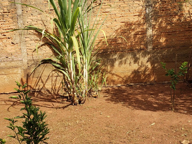 Casa à venda Centro com 850m² e 5 quartos por R$ 1.200.000 - 366314639-20220509-100952.jpg