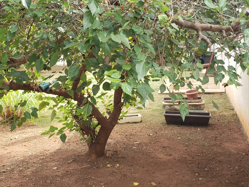 Casa à venda Centro com 850m² e 5 quartos por R$ 1.200.000 - 55816887-20220509-100940.jpg