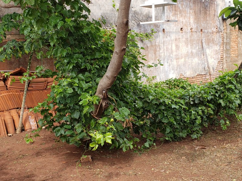 Casa à venda Centro com 850m² e 5 quartos por R$ 1.200.000 - 884328833-20220509-100932.jpg