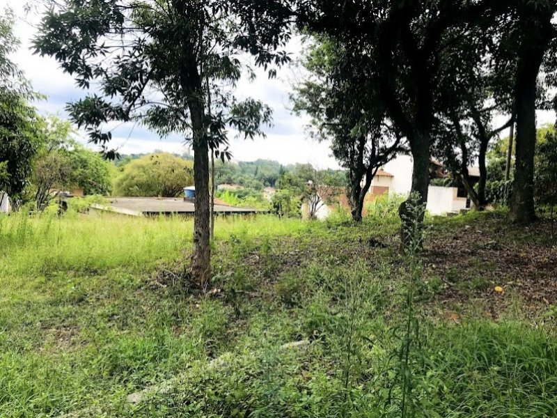 Terreno à venda Vila Irmãos Arnoni com 2500m² e 1 quarto por R$ 3.000.000 - 811824436-df84bacd-c74b-46ff-b427-d2536832bef8.jpeg