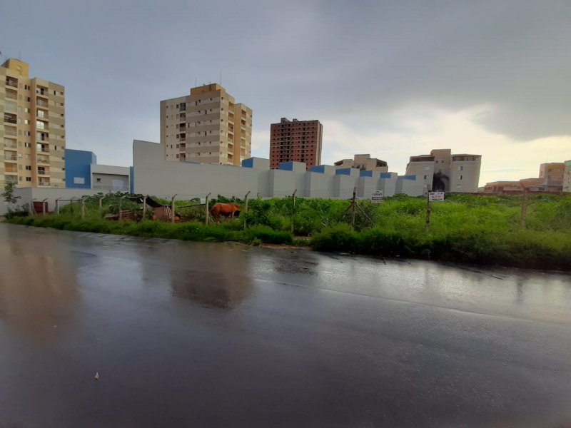 Terreno à venda Vila Maria Luiza com 211m² e 1 quarto por R$ 210.000 - 350188328-img-20210111-wa0036.jpg