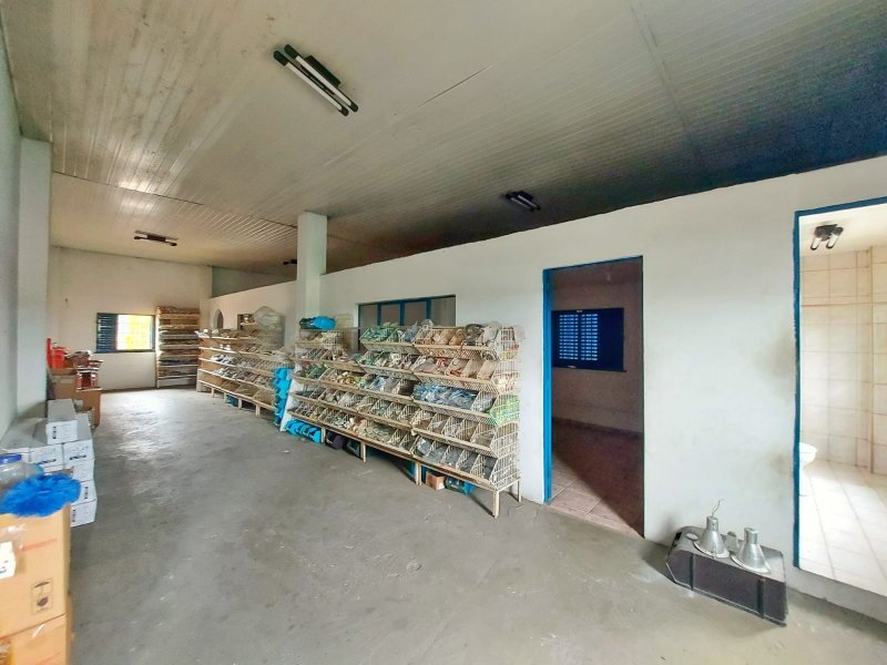 Comercial à venda Parque Dez de Novembro com 1550m² e 1 quarto por R$ 4.200.000 - 1095189261-whatsapp-image-2022-02-10-at-20.jpeg