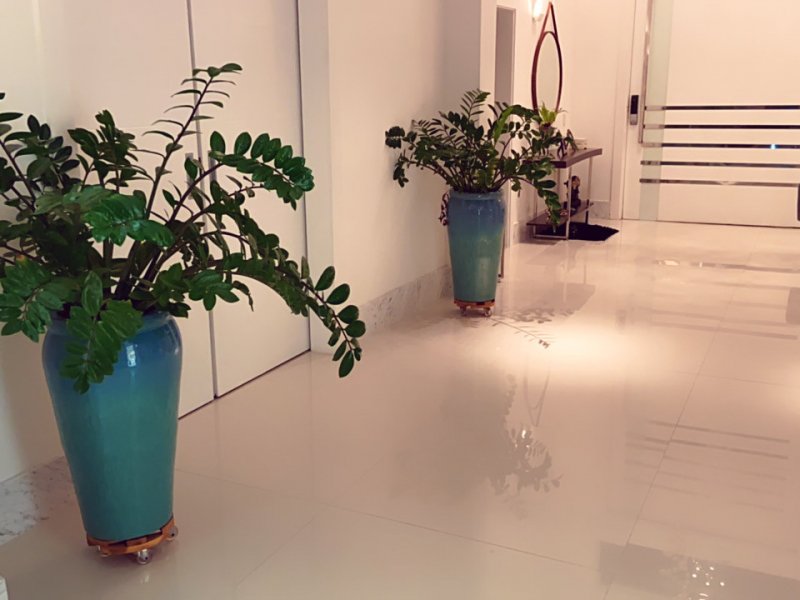Casa à venda jardim acapulco com 840m² e 5 quartos por R$ 6.300.000 - 290978514-8c2e1e42-e72a-4d90-b928-a792f4d0fdcd.jpeg