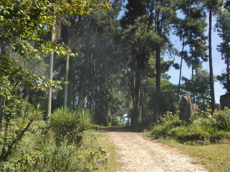 Terreno à venda Jardim Souza com 38000m² e 1 quarto por R$ 12.000.000 - 728722419-wp-000619.jpg