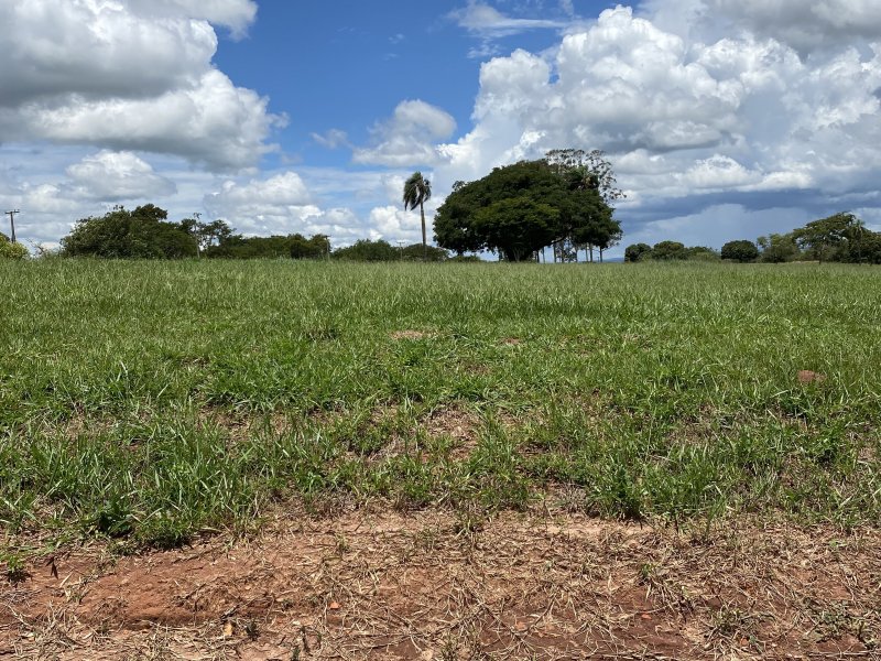 Terreno à venda Centro com 600m² e 1 quarto por R$ 80.000 - 60540653-img-4759.JPG