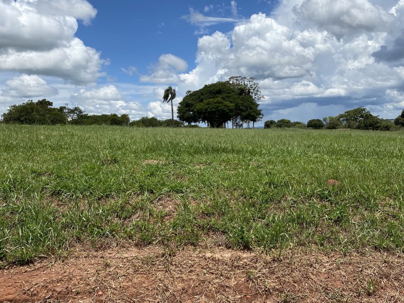 Terreno à venda Centro com 600m² e 1 quarto por R$ 80.000 - 610731999-img-4761.JPG