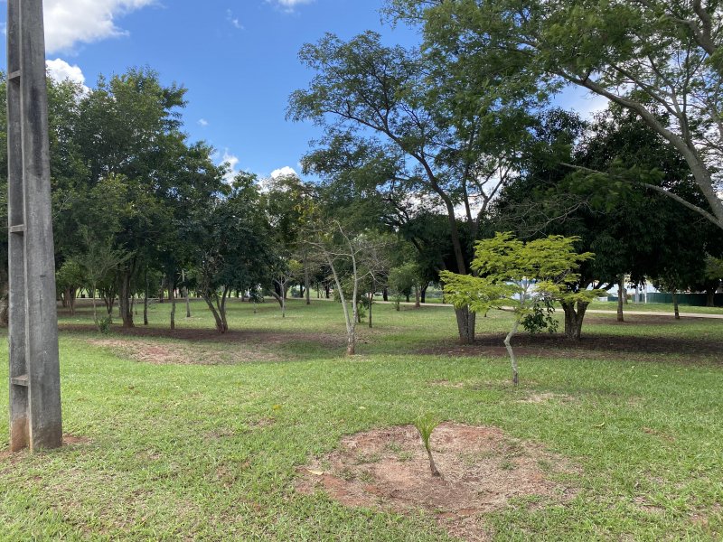 Terreno à venda Centro com 600m² e 1 quarto por R$ 80.000 - 690335472-img-4771.JPG
