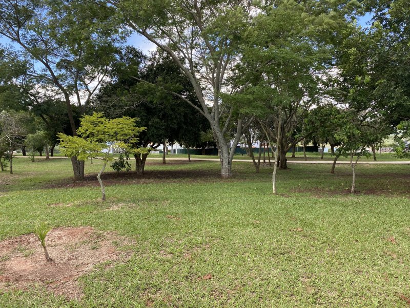 Terreno à venda Centro com 600m² e 1 quarto por R$ 80.000 - 832240524-img-4772.JPG