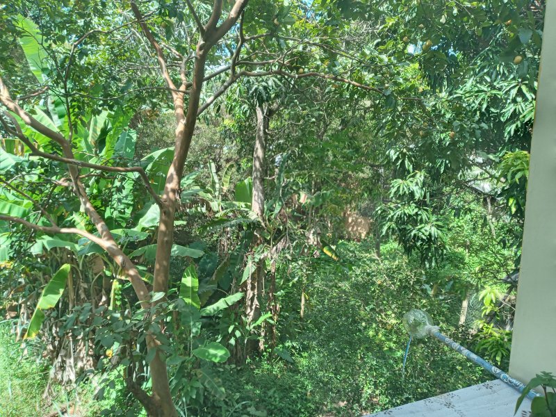 Chácara à venda Jardim M. Pereira com 500m² e 4 quartos por R$ 1.550.000 - 671508967-img-20220217-142945.jpg
