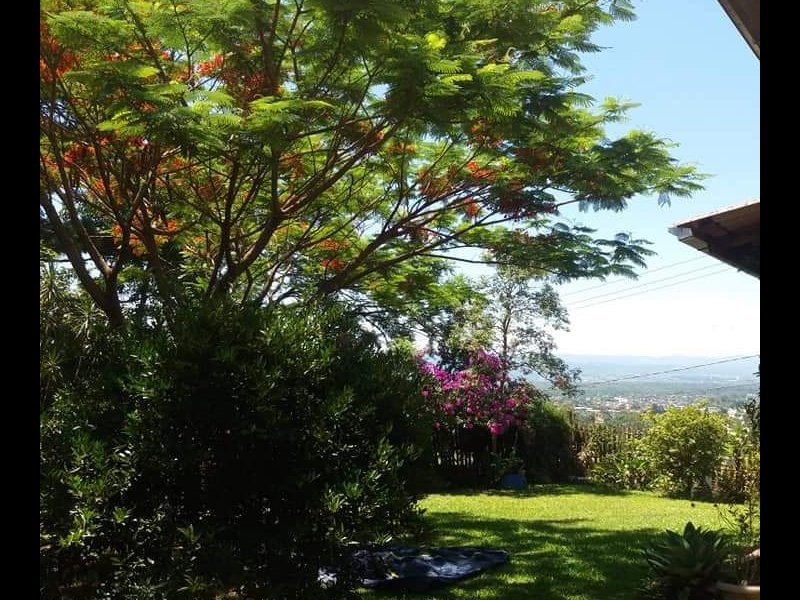 Casa à venda Feitoria com 60m² e 2 quartos por R$ 500.000 - 158022542-4bfa666f-c8e9-435a-a73c-c8fc8092c4a0.jpeg