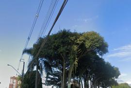 Terreno à venda São Domingos com 488m² - 1 dormitório -  vagas - R$ 1.350.000 - 1814655309-imovel-saojosedospinhaispr-familiaskrabe-3.jpg