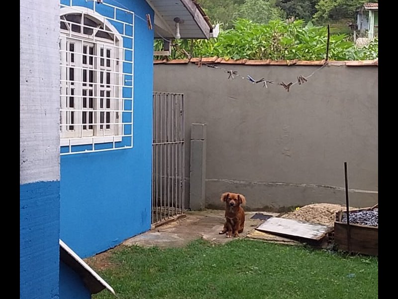 Casa à venda Bairro Novo com 115m² e 4 quartos por R$ 320.000 - 902549577-whatsapp-image-2022-01-06-at-13.jpeg