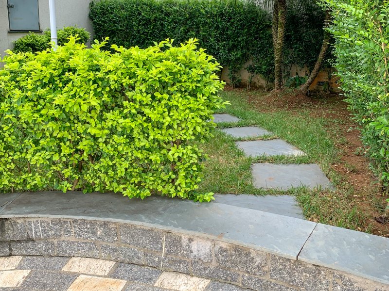 Casa de condomínio à venda Chácara Seis de Outubro com 121m² e 2 quartos por R$ 520.000 - 69951547-0c3744e9-1b0e-4bb3-a615-de2e2fd3b971.jpeg