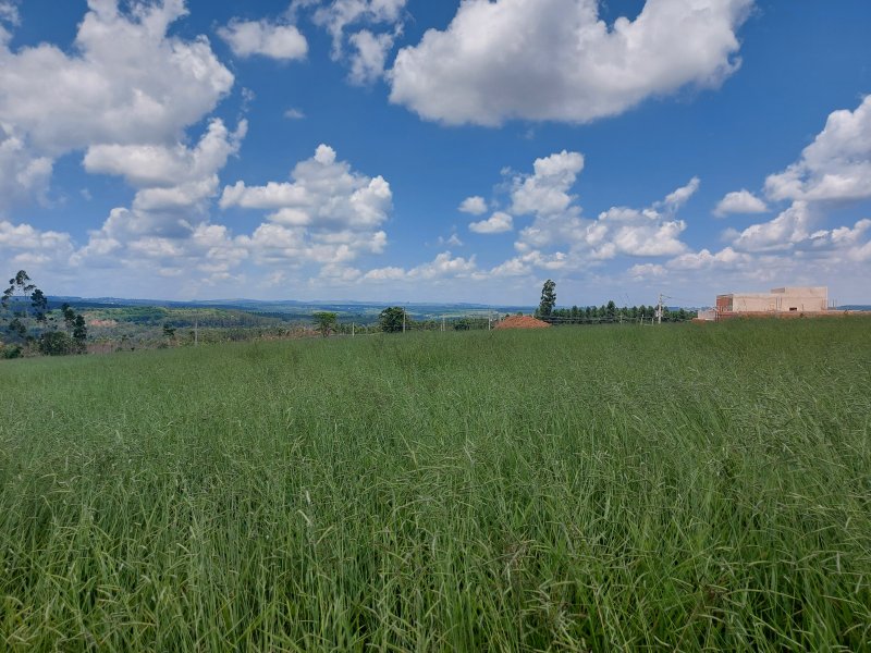 Terreno à venda Centro com 1000m² e 1 quarto por R$ 250.000 - 1090649002-20220220-115531.jpg