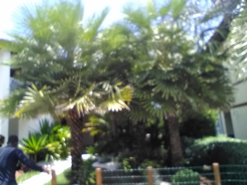 Casa de condomínio à venda Stella Maris com 330m² e 5 quartos por R$ 2.500.000 - 106671110-15.jpeg