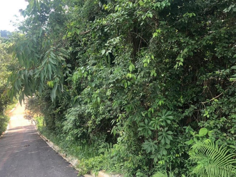 Terreno à venda Recanto Maravilha III com 1237m² e 1 quarto por R$ 280 - 1088941817-77635428-1ab8-43c1-b6dc-5c0444b27dd5.jpeg