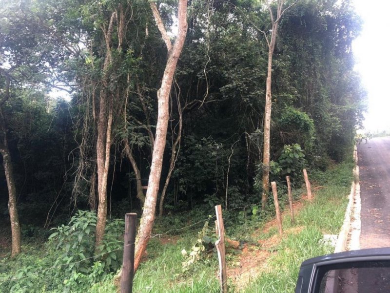 Terreno à venda Recanto Maravilha III com 1237m² e 1 quarto por R$ 280 - 1378758886-b2f2a70b-e5c6-4b0e-8980-ed9037636132.jpeg