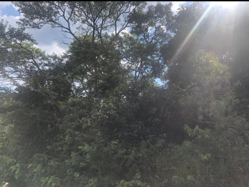 Terreno à venda Recanto Maravilha III com 1237m² e 1 quarto por R$ 280 - 1617958968-236c1580-2522-4013-8961-524a350c5f12.jpeg