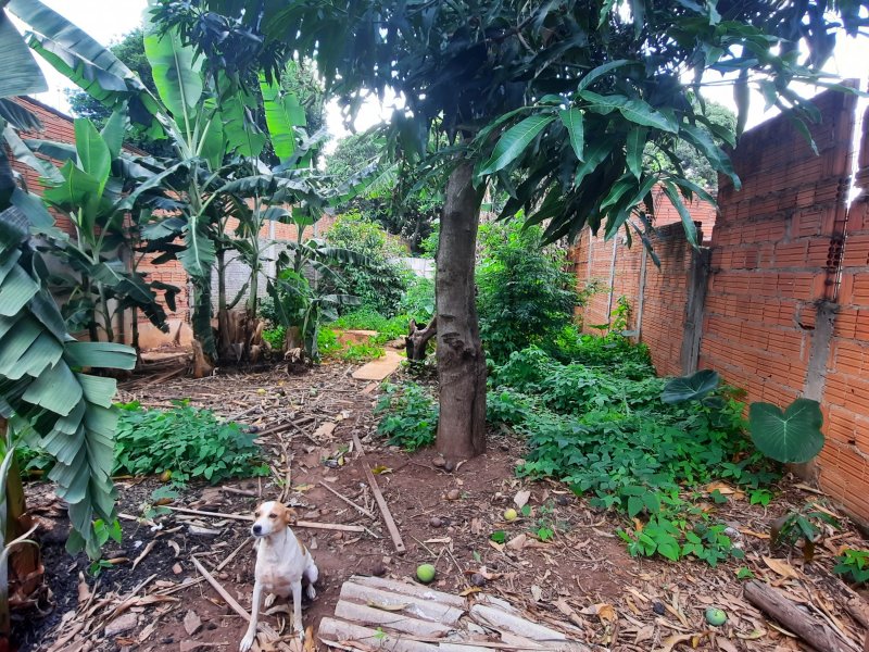 Casa à venda Jardim América com 75m² e 2 quartos por R$ 160.000 - 517443019-20211116-122741.jpg