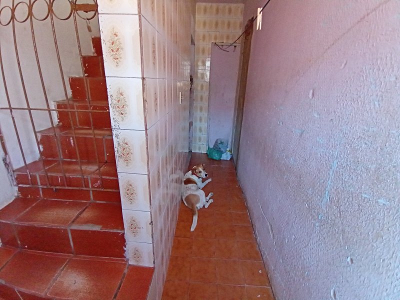 Apartamento à venda Vila Garrido com 60m² e 2 quartos por R$ 80.000 - 6465717-20220121-120047-hdr.jpg