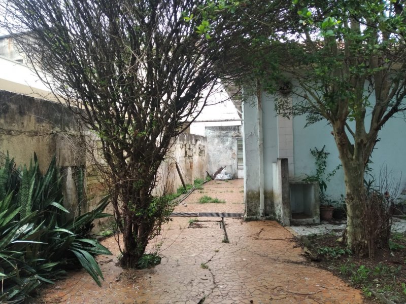 Casa à venda Santa Terezinha com 362m² e 3 quartos por R$ 900.000 - 2039727857-whatsapp-image-2022-02-22-at-09.jpeg