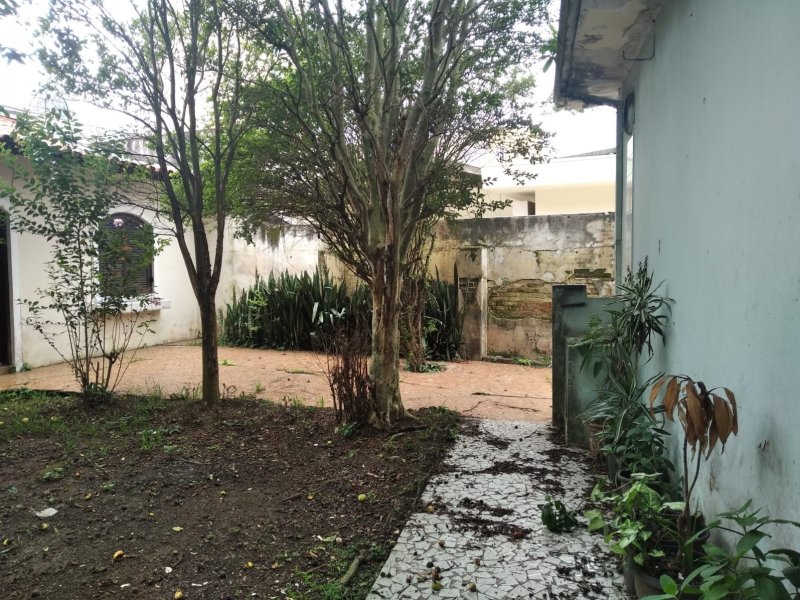 Casa à venda Santa Terezinha com 362m² e 3 quartos por R$ 900.000 - 707142867-whatsapp-image-2022-02-22-at-09.jpeg