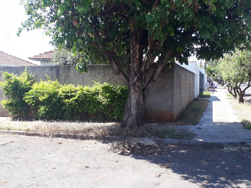 Terreno à venda Jardim Bela Vista com 219m² e 1 quarto por R$ 250.000 - 929488469-20220222-103343.jpg
