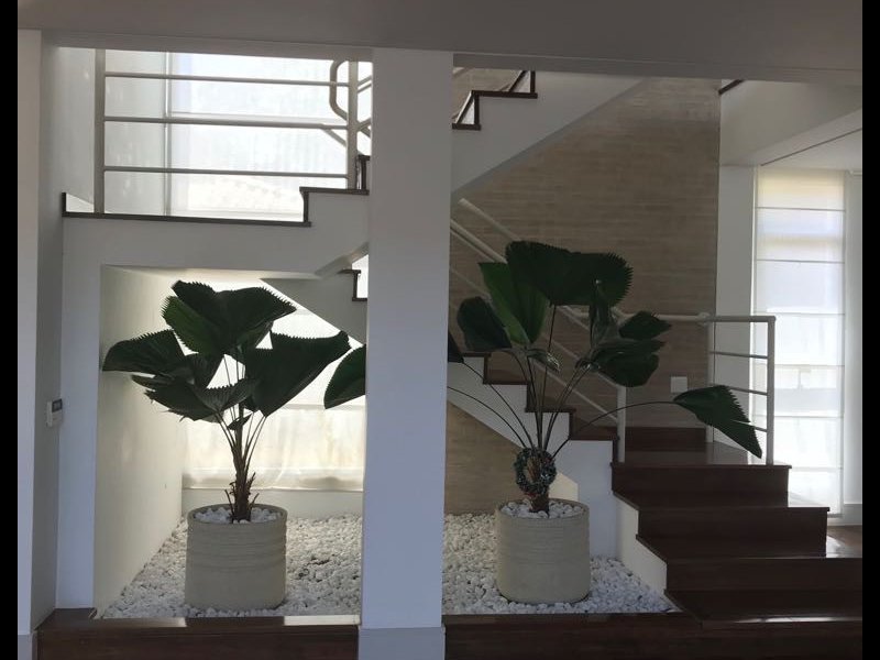 Comercial à venda Higienópolis com 147m² e 1 quarto por R$ 9.000.000 - 1788933250-1de9ec7d-0f66-4684-90a6-82f95f292bf4.jpg
