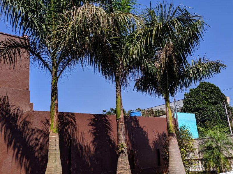 Casa à venda Vila Lucia com 400m² e 3 quartos por R$ 2.300.000 - 941025726-casa-amilton-10.jpeg