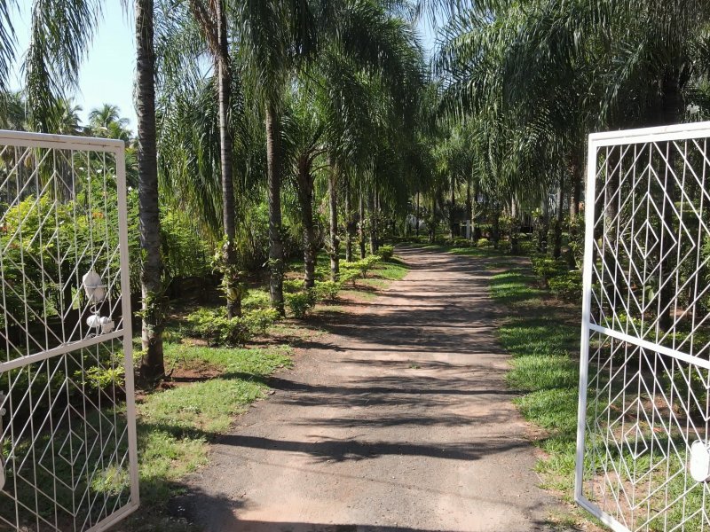 Chácara à venda Centro com 8000m² e 7 quartos por R$ 5.000.000 - 1473218228-dji-0134.jpg
