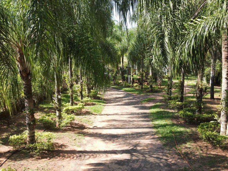 Chácara à venda Centro com 8000m² e 7 quartos por R$ 5.000.000 - 1795348871-dji-0134.jpg