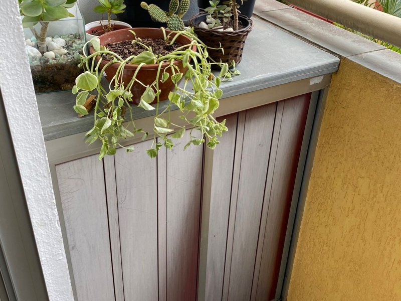 Apartamento à venda Jardim Nove de Julho com 54m² e 2 quartos por R$ 240.000 - 136301686-whatsapp-image-2022-02-23-at-11.jpeg