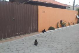 1067853322-whatsapp-image-2022-02-24-at-09.jpeg