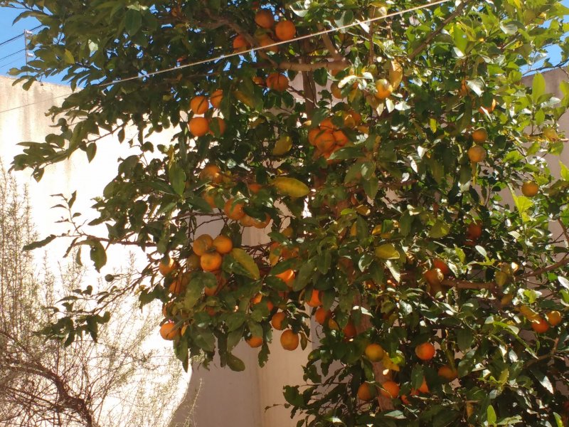 Casa de condomínio à venda Jardim das Américas com 128m² e 3 quartos por R$ 550.000 - 1196818127-img-20200528-115438363.jpg