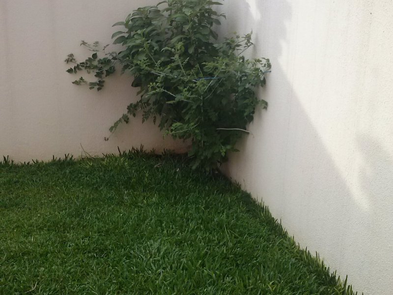 Casa de condomínio à venda Jardim das Américas com 128m² e 3 quartos por R$ 550.000 - 1534597610-cam00507.jpg