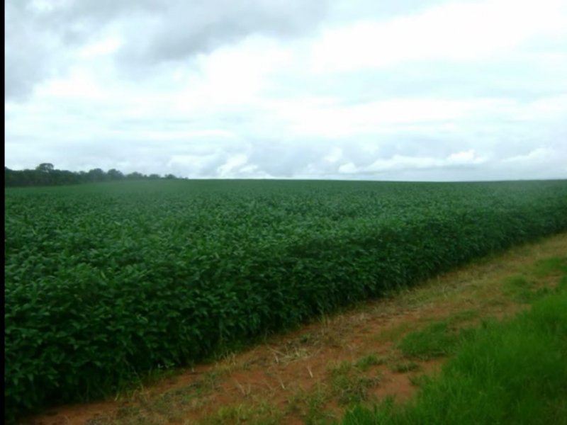 Fazenda à venda Centro com 1000000m² e 2 quartos por R$ 50.000.000 - 105518010-aac605e7-a9d8-4db1-bf06-3347c3f4bf53.jpg
