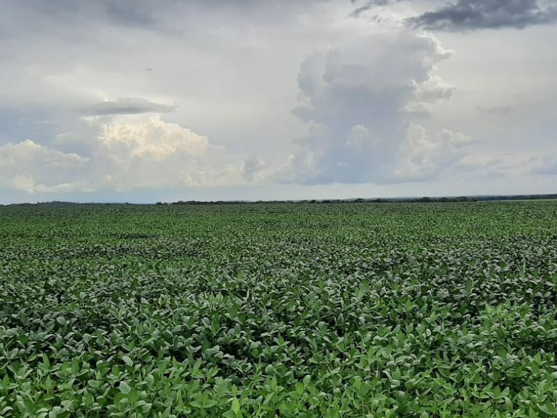 Fazenda à venda Centro com 1000000m² e 2 quartos por R$ 50.000.000 - 110116602-09b559a0-4b92-469d-9f18-44808aee01ce.jpg