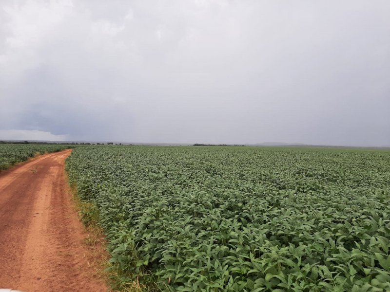 Fazenda à venda Centro com 1000000m² e 2 quartos por R$ 50.000.000 - 1461662272-f9831602-8cce-4041-9610-921c51719377.jpg